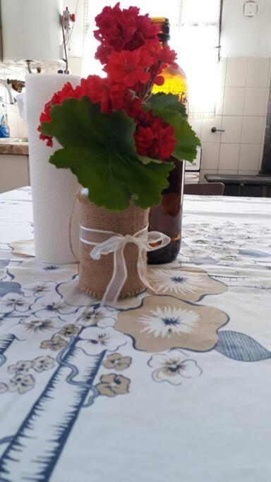 Сasa de vacaciones La Casa Del Abuelo *
